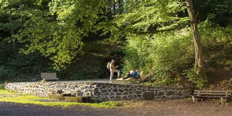 Maischquelle Natur Und Geopark Vulkaneifel