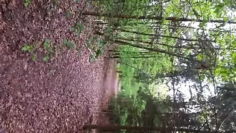 Outdoor Cum Gay Cumshot Amateur Porn Feat BiM XHamster