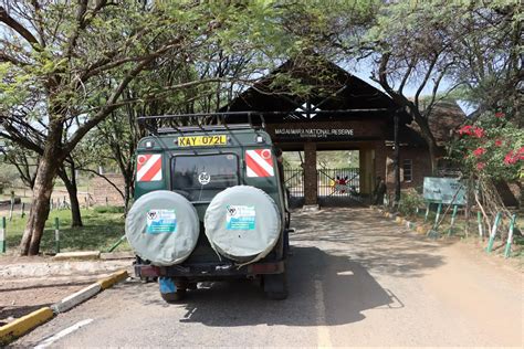 Best Time To Visit Masai Mara Best Month To Visit Masai Mara