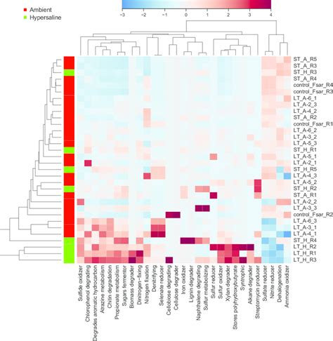 Taxonomy Based Functional Profiling Of Bacterial Communities Heatmap