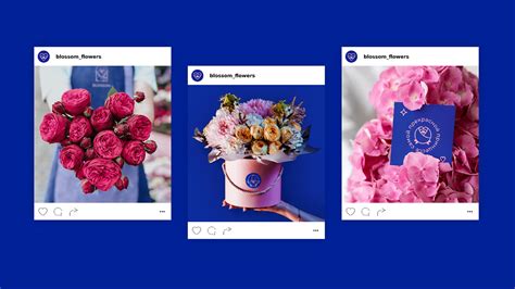 Blossom On Behance