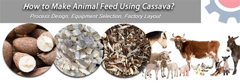 How To Make Animal Feed Using Cassava Pellet Making Machines And