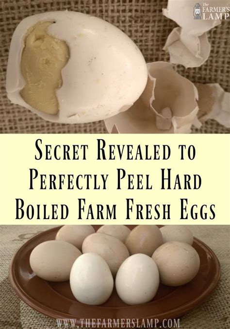 How To Perfectly Peel Hard Boiled Farm Fresh Eggs Farm Fresh Eggs