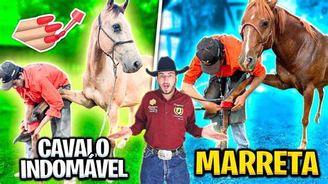 COMO CASQUEAR UM CAVALO BRAVO YouTube