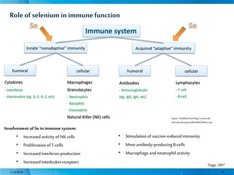 Ppt Selenium In Nutrition And Toxicity Powerpoint Presentation Free