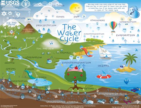 The Water Cycle for Schools and Students