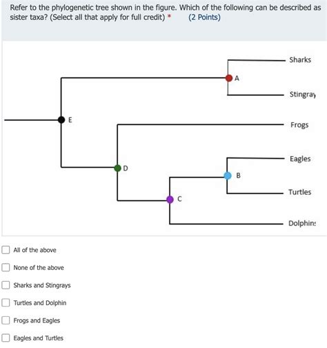 Solved Refer to the phylogenetic tree shown in the figure. | Chegg.com
