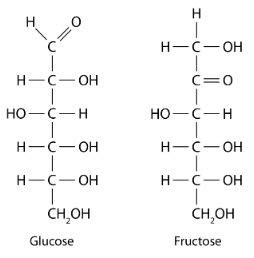 Answered For Each Pair Of Biomolecules Identify Bartleby