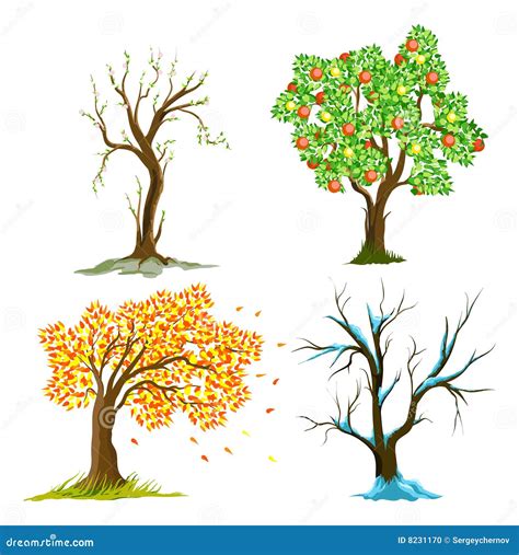 Albero Delle 4 Stagioni Da Colorare