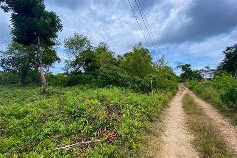 Residential Lot For Sale In Brgy Bingag Dauis Bohol Land For Sale