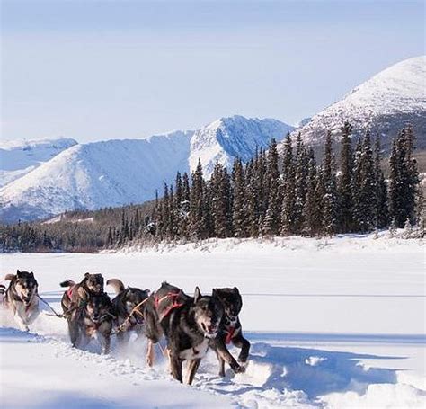 THE 15 BEST Things to Do in Whitehorse - 2022 (with Photos) - Tripadvisor