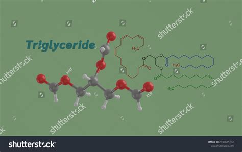 Triglyceride Triacylglycerol Lipid Science Chemical Structure Stock ...