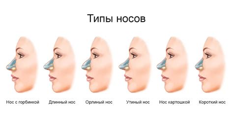 Метрогил В Нос – Telegraph