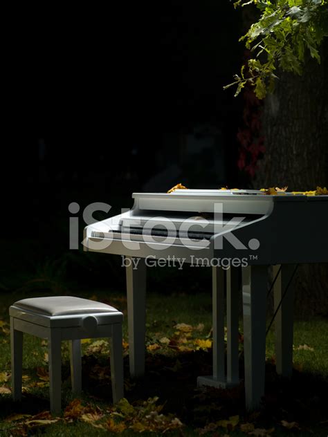 Piano And Nature Stock Photo | Royalty-Free | FreeImages