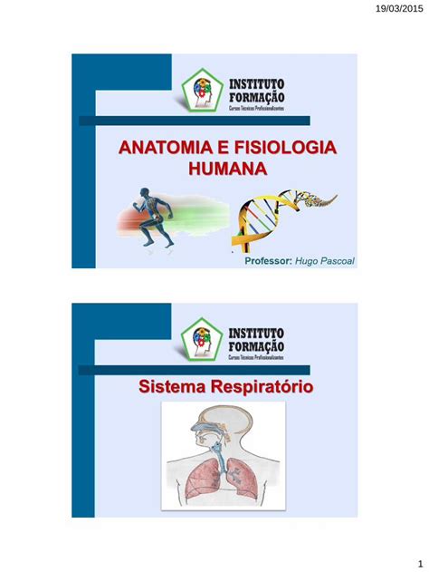 Pdf Sistema Respirat Rio Ifcursos Br As Estruturas Do Sistema