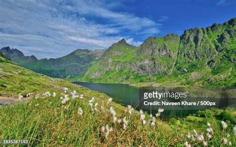 56 Moskenes Municipality Stock Photos, High-Res Pictures, and Images - Getty Images