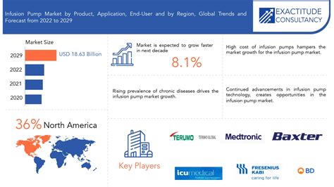 Infusion Pumps Market Size Share Forecast And Report 2029