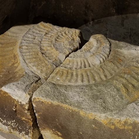 DISCOVER - Ladbroke Church (for Heritage Project) - Ladbroke Heritage