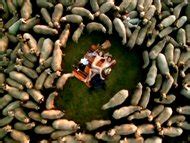 Luise Helm Nude Pics Pagina