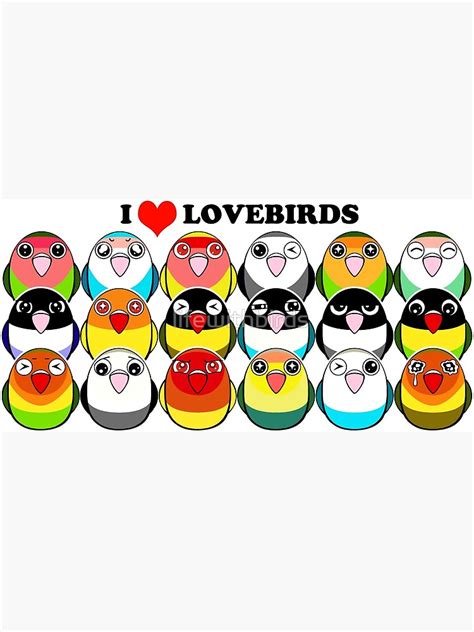 "Lovebird colour mutations" Poster by lifewithbirds | Redbubble