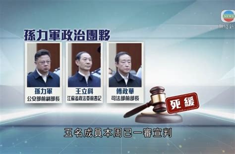 涉孙力军团伙案多两人判刑傅政华王立科受贿判死缓不得假释 洵南中文网｜广义堂