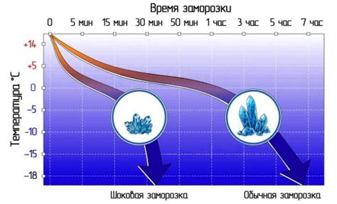 Что такое шоковая заморозка