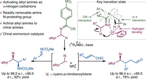 Organocatalytic Asymmetric Ch Functionalization Of Alkyl Amines