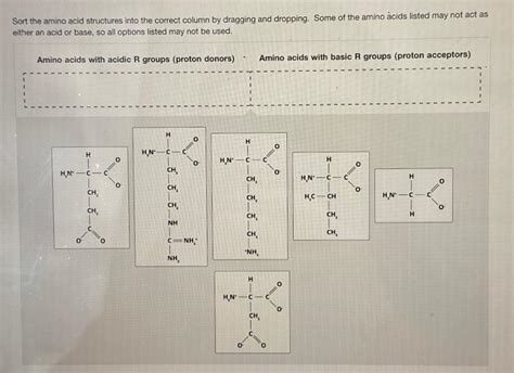 Solved Sort the amino acid structures into the correct | Chegg.com