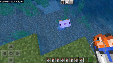 How To Summon A Blue Axolotl In Minecraft Pe 1 19 Update