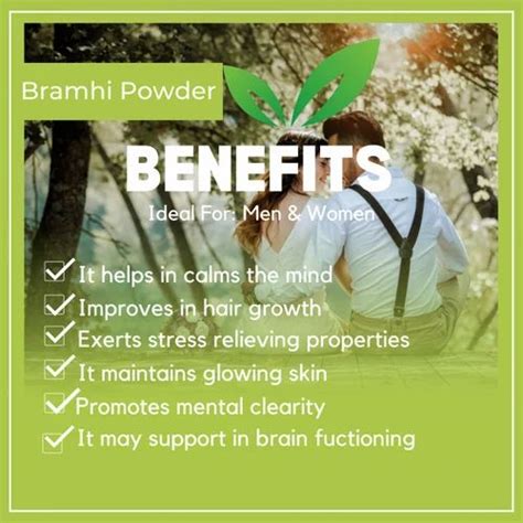 Brahmi Powder Gm At Rs G Bacopa Monnieri Powder In