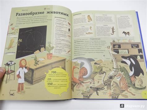 Книга: Моя первая энциклопедия обо всем на свете - . Купить книгу ...
