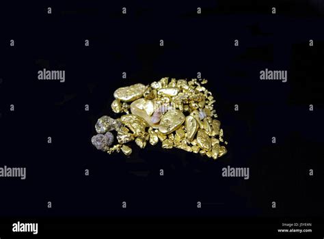 California Gold Miner Hi Res Stock Photography And Images Alamy