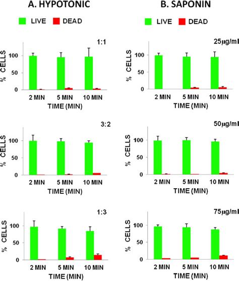 Cell Viability Studies Livedead Cell Viability Assay Showing Live