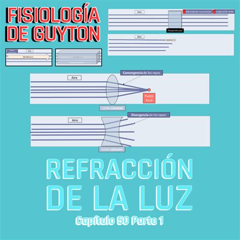 Presentaci N Completa L Fisiolog A De Guyton L Cap Pt Refracci N