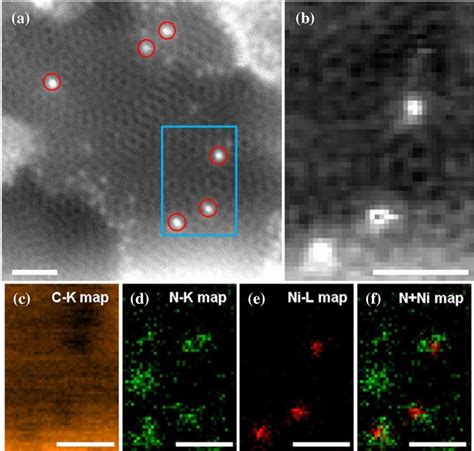 STEM HAADF Images And Atomic Resolution EELS Analysis Of A NiN C