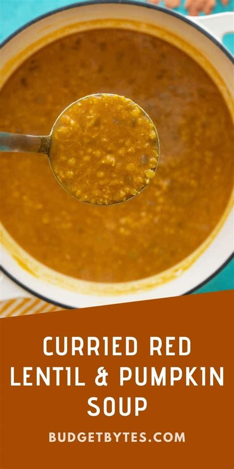 Curried Red Lentil And Pumpkin Soup Budget Bytes