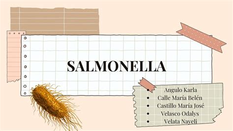 Salmonella Odalys Velasco Udocz