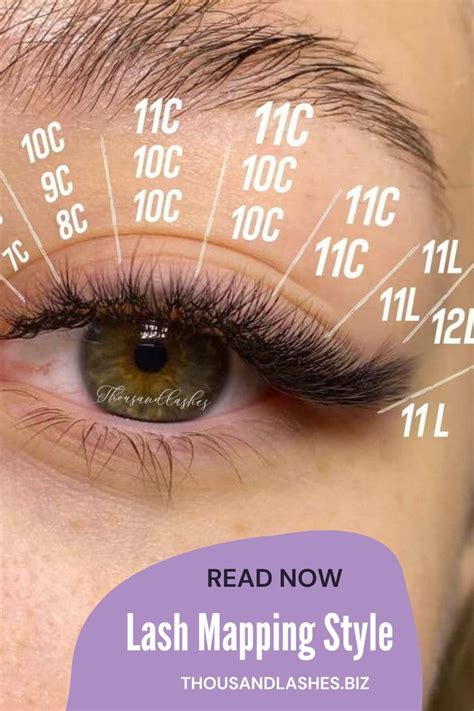 A Comprehensive Guide To Lash Mapping Eyelash Extensions Lashes