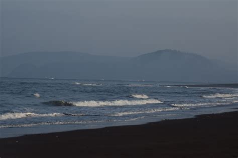 Olive Ridley Turtle Festival, Velas Beach, Maharashtra – Astonishing India