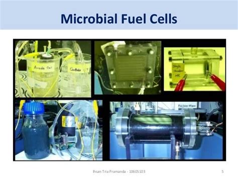 Microbial fuel cell