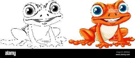 An isolated vector cartoon illustration of an orange frog on a white background Stock Vector ...