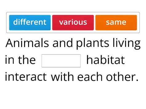 Interaction Among Living Things Complete The Sentence