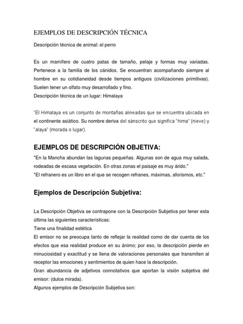 Ejemplos De Descripción Técnica Pdf