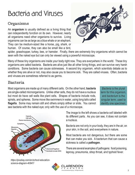 Virus And Bacteria Worksheets