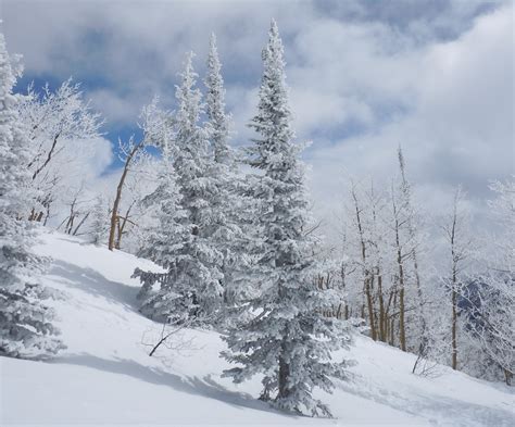 Elevation of Storm Meadows Dr, Steamboat Springs, CO, USA - Topographic