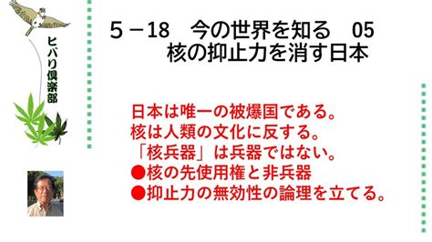 今の世界を知る（5）「核の抑止力を消す日本」 令和5年5月18日 ヒバリクラブ