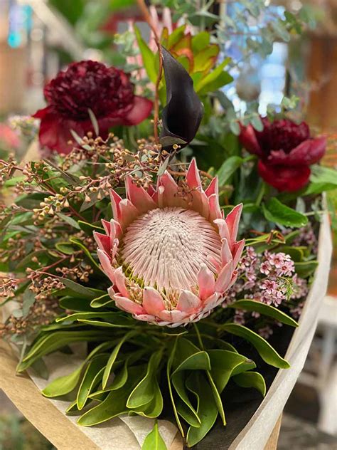 King Protea Hand-tied Bouquet – Marlow Floralworks Online Store