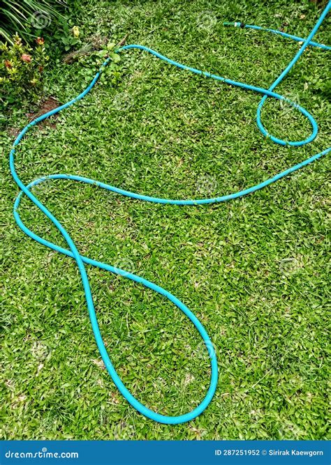 Garden Water Hose on Green Grass Stock Photo - Image of tool, garden