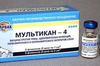 Прививка мультикан 8 от чего: 8 - инструкция по применению