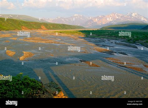 East Fork Toklat River Denali National Park Alaska Stock Photo - Alamy